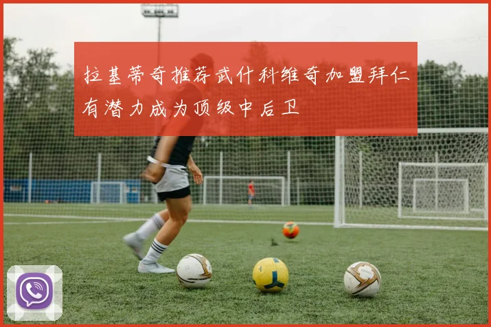 拉基蒂奇推荐武什科维奇加盟拜仁有潜力成为顶级中后卫
