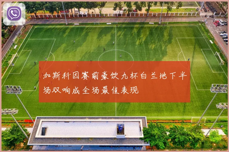 加斯科因赛前豪饮九杯白兰地下半场双响成全场最佳表现
